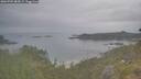./images/calvert/foggy-cove/20260701/foggy-cove20260701_084502M.jpg