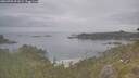 ./images/calvert/foggy-cove/20260701/foggy-cove20260701_091001M.jpg