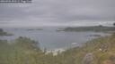 ./images/calvert/foggy-cove/20260701/foggy-cove20260701_095501M.jpg