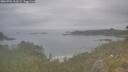 ./images/calvert/foggy-cove/20260701/foggy-cove20260701_101002M.jpg