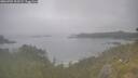 ./images/calvert/foggy-cove/20260701/foggy-cove20260701_102501M.jpg
