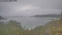 ./images/calvert/foggy-cove/20260701/foggy-cove20260701_104001M.jpg