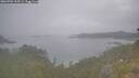 ./images/calvert/foggy-cove/20260701/foggy-cove20260701_105501M.jpg