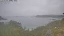 ./images/calvert/foggy-cove/20260701/foggy-cove20260701_110001M.jpg