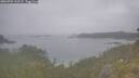 ./images/calvert/foggy-cove/20260701/foggy-cove20260701_110501M.jpg