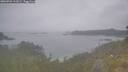 ./images/calvert/foggy-cove/20260701/foggy-cove20260701_111002M.jpg