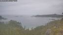 ./images/calvert/foggy-cove/20260701/foggy-cove20260701_112002M.jpg