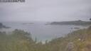 ./images/calvert/foggy-cove/20260701/foggy-cove20260701_112501M.jpg