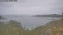 ./images/calvert/foggy-cove/20260701/foggy-cove20260701_113001M.jpg
