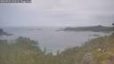 ./images/calvert/foggy-cove/20260701/foggy-cove20260701_113501M.jpg