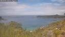 ./images/calvert/foggy-cove/20260701/foggy-cove20260701_121001M.jpg