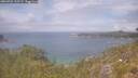 ./images/calvert/foggy-cove/20260701/foggy-cove20260701_125501M.jpg