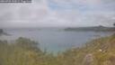 ./images/calvert/foggy-cove/20260701/foggy-cove20260701_133001M.jpg