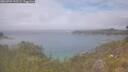 ./images/calvert/foggy-cove/20260701/foggy-cove20260701_133501M.jpg