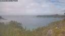 ./images/calvert/foggy-cove/20260701/foggy-cove20260701_134501M.jpg