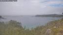 ./images/calvert/foggy-cove/20260701/foggy-cove20260701_135501M.jpg