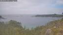 ./images/calvert/foggy-cove/20260701/foggy-cove20260701_141001M.jpg