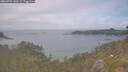 ./images/calvert/foggy-cove/20260701/foggy-cove20260701_141501M.jpg