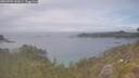 ./images/calvert/foggy-cove/20260701/foggy-cove20260701_142001M.jpg