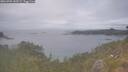 ./images/calvert/foggy-cove/20260701/foggy-cove20260701_143501M.jpg