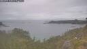 ./images/calvert/foggy-cove/20260701/foggy-cove20260701_145501M.jpg