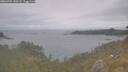 ./images/calvert/foggy-cove/20260701/foggy-cove20260701_150501M.jpg
