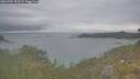 ./images/calvert/foggy-cove/20260701/foggy-cove20260701_152502M.jpg