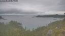 ./images/calvert/foggy-cove/20260701/foggy-cove20260701_153501M.jpg