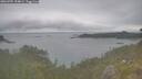 ./images/calvert/foggy-cove/20260701/foggy-cove20260701_154001M.jpg