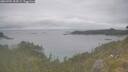 ./images/calvert/foggy-cove/20260701/foggy-cove20260701_154501M.jpg