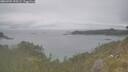 ./images/calvert/foggy-cove/20260701/foggy-cove20260701_155502M.jpg