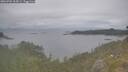 ./images/calvert/foggy-cove/20260701/foggy-cove20260701_164501M.jpg