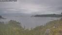 ./images/calvert/foggy-cove/20260701/foggy-cove20260701_170501M.jpg