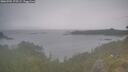 ./images/calvert/foggy-cove/20260701/foggy-cove20260701_175501M.jpg