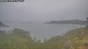 ./images/calvert/foggy-cove/20260701/foggy-cove20260701_192002M.jpg
