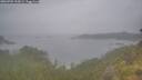 ./images/calvert/foggy-cove/20260701/foggy-cove20260701_202001M.jpg