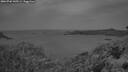 ./images/calvert/foggy-cove/20260702/foggy-cove20260702_045501M.jpg