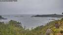 ./images/calvert/foggy-cove/20260702/foggy-cove20260702_075502M.jpg
