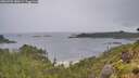 ./images/calvert/foggy-cove/20260702/foggy-cove20260702_080501M.jpg