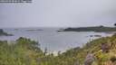 ./images/calvert/foggy-cove/20260702/foggy-cove20260702_081001M.jpg