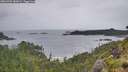 ./images/calvert/foggy-cove/20260702/foggy-cove20260702_082001M.jpg