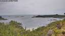 ./images/calvert/foggy-cove/20260702/foggy-cove20260702_084001M.jpg