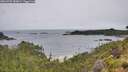 ./images/calvert/foggy-cove/20260702/foggy-cove20260702_085002M.jpg