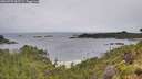 ./images/calvert/foggy-cove/20260702/foggy-cove20260702_085501M.jpg