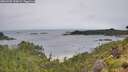 ./images/calvert/foggy-cove/20260702/foggy-cove20260702_090002M.jpg