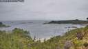 ./images/calvert/foggy-cove/20260702/foggy-cove20260702_091501M.jpg