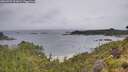./images/calvert/foggy-cove/20260702/foggy-cove20260702_092001M.jpg