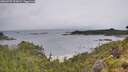 ./images/calvert/foggy-cove/20260702/foggy-cove20260702_093002M.jpg