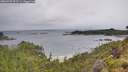 ./images/calvert/foggy-cove/20260702/foggy-cove20260702_093501M.jpg