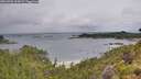 ./images/calvert/foggy-cove/20260702/foggy-cove20260702_094501M.jpg